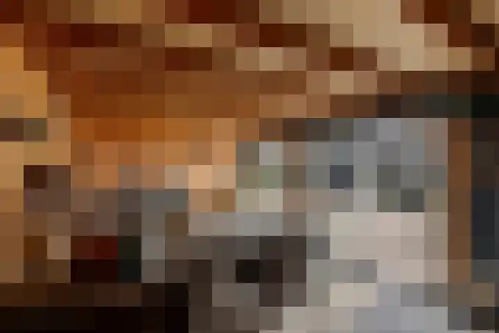 Patrijzennest 1 a Gorinchem thumbnail 33