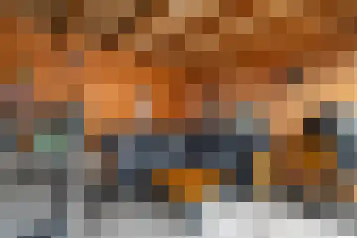 Patrijzennest 1 a Gorinchem thumbnail 34