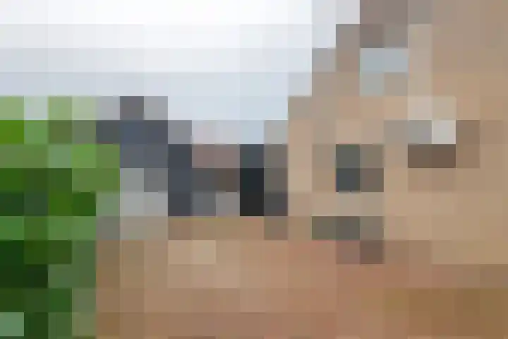 Patrijzennest 1 a Gorinchem thumbnail 38