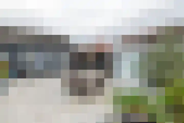Patrijzennest 1 a Gorinchem thumbnail 4