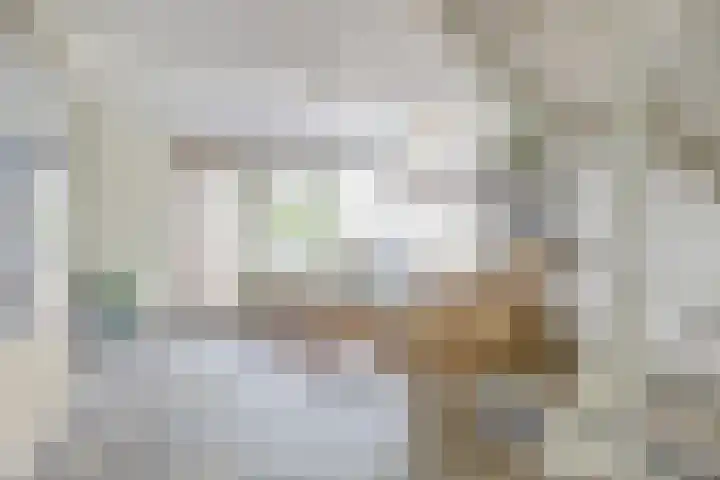 Patrijzennest 6 Gorinchem thumbnail 11