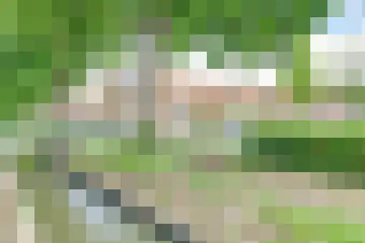 Patrijzennest 6 Gorinchem thumbnail 30