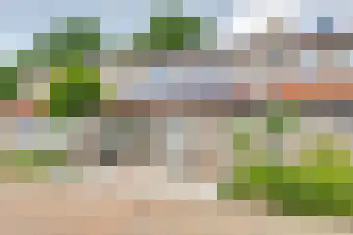 Patrijzennest 6 Gorinchem thumbnail 5