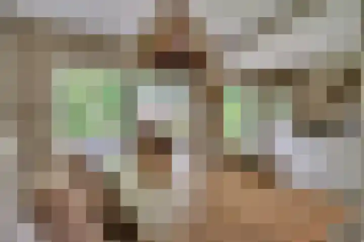 Patrijzenpad 17 Tegelen thumbnail 12