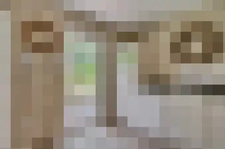 Patrijzenpad 17 Tegelen thumbnail 14