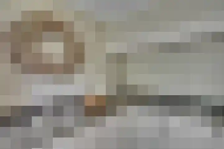 Patrijzenpad 17 Tegelen thumbnail 15