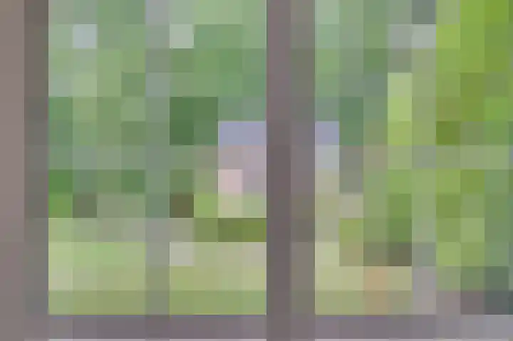 Patrijzenpad 17 Tegelen thumbnail 20