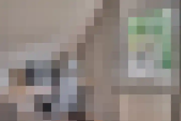 Patrijzenpad 17 Tegelen thumbnail 30