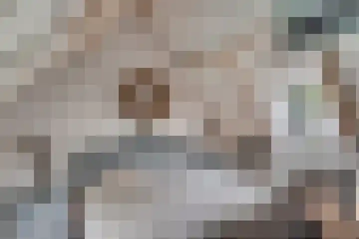 Patrijzenpad 17 Tegelen thumbnail 33