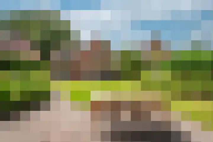Patrijzenpad 17 Tegelen thumbnail 41