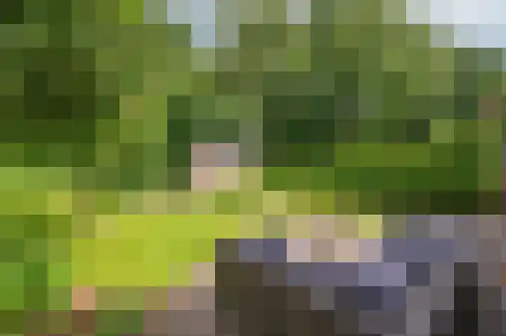 Patrijzenpad 17 Tegelen thumbnail 43