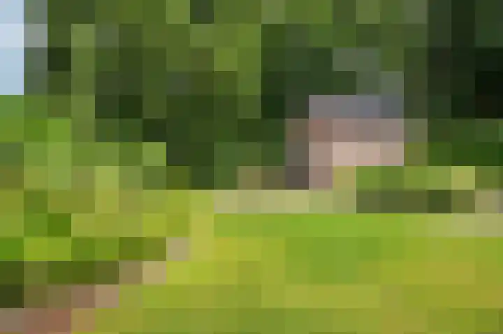 Patrijzenpad 17 Tegelen thumbnail 46