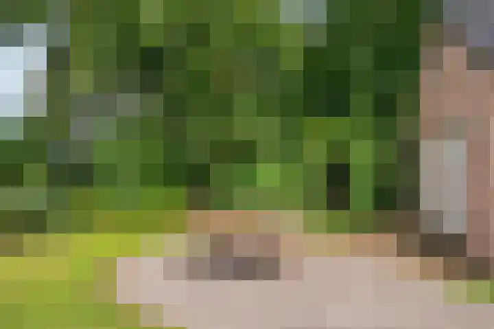 Patrijzenpad 17 Tegelen thumbnail 48