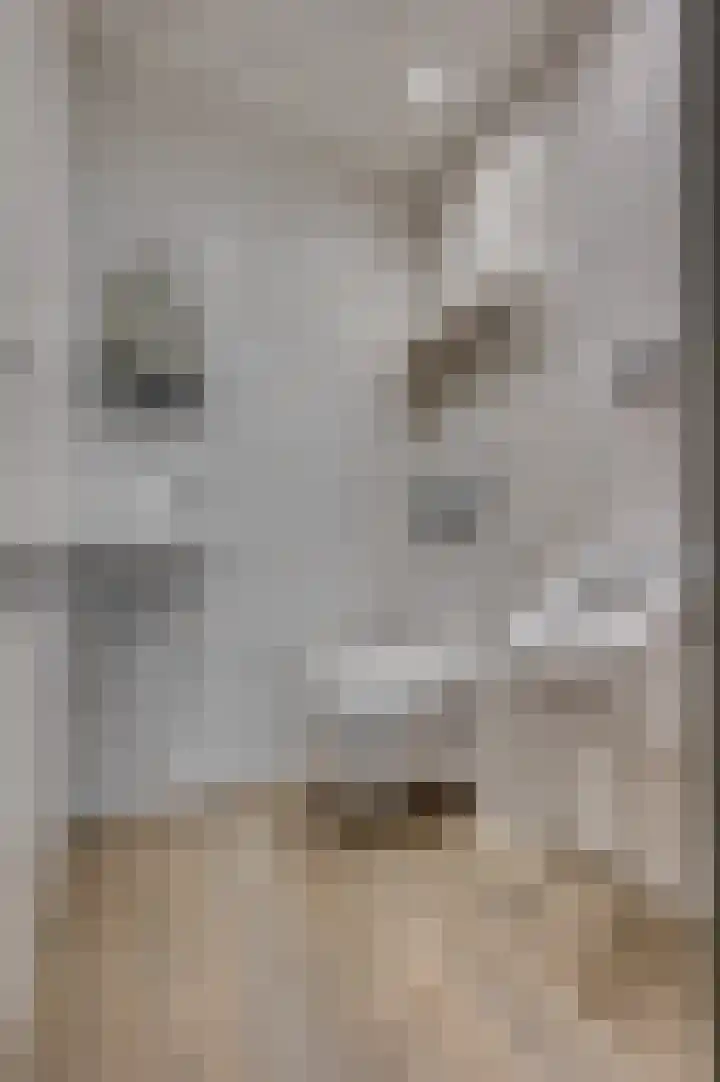 Patrijzenpad 17 Tegelen thumbnail 5