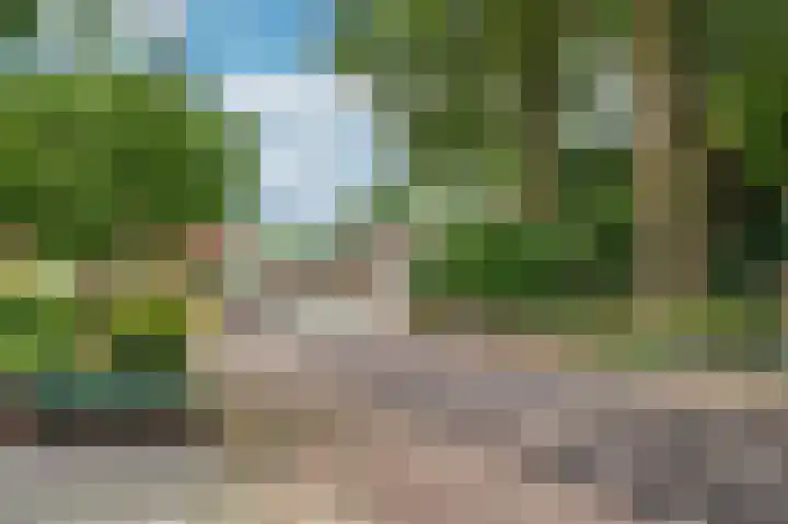 Patrijzenpad 17 Tegelen thumbnail 53
