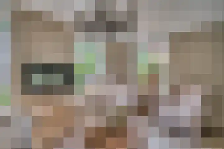 Patrijzenpad 17 Tegelen thumbnail 8