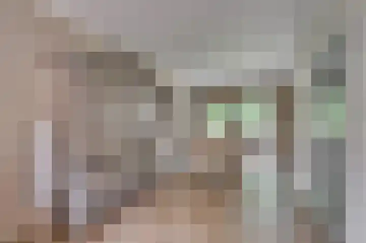 Patrijzenpad 17 Tegelen thumbnail 9