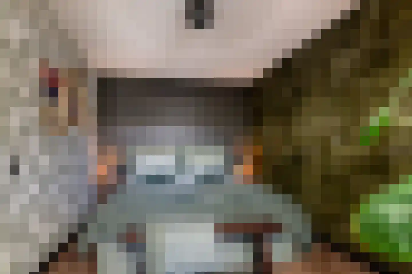 Patrijzenpad 3 Maastricht thumbnail 12