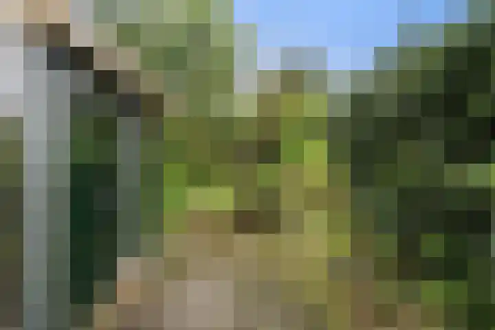 Patrijzenplein 12 Arnhem thumbnail 17
