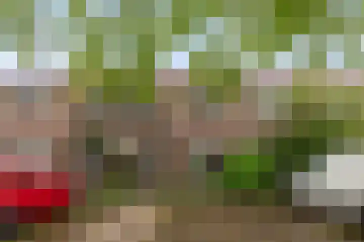 Patrijzenplein 12 Arnhem thumbnail 31