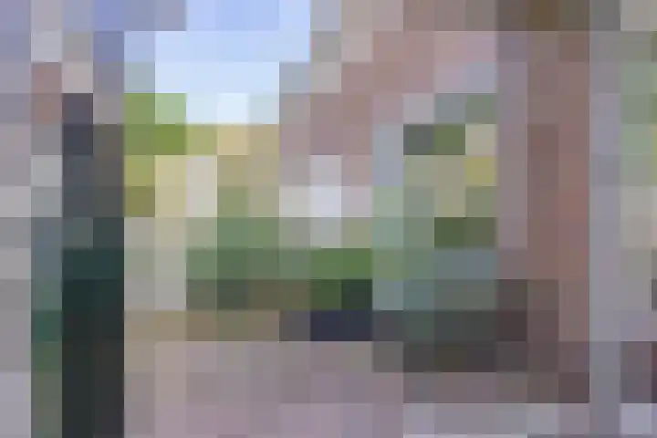 Patrijzenplein 8 Arnhem thumbnail 23