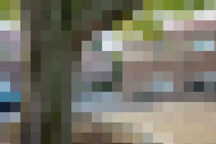 Patrijzenplein 8 Arnhem thumbnail 31