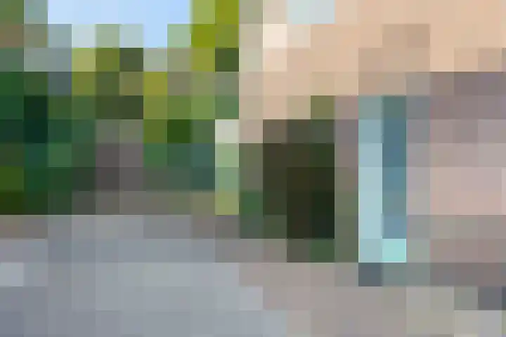 Patrijzenplein 8 Arnhem thumbnail 6