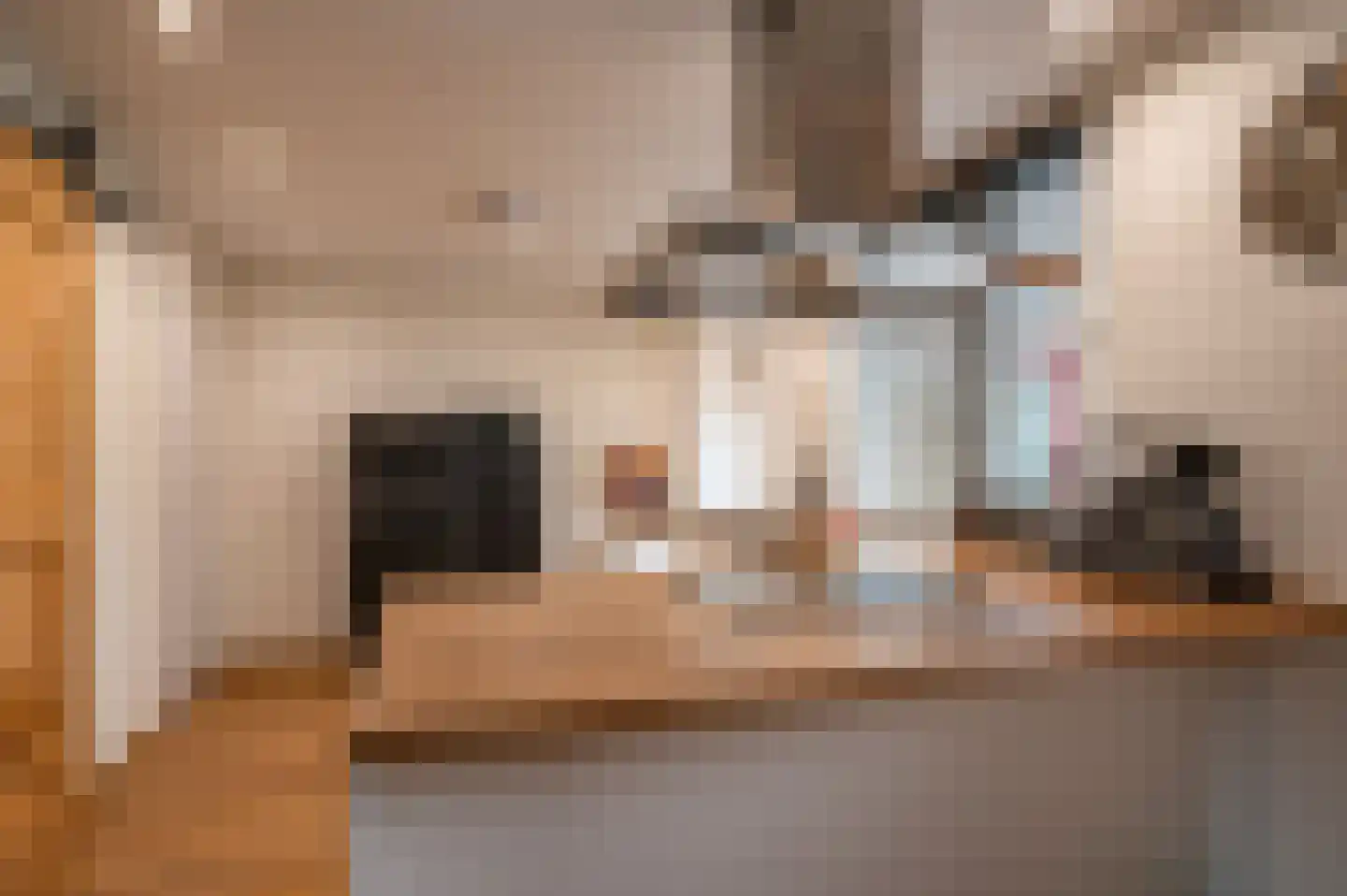 Patrijzenstraat 11 Tollebeek thumbnail 12