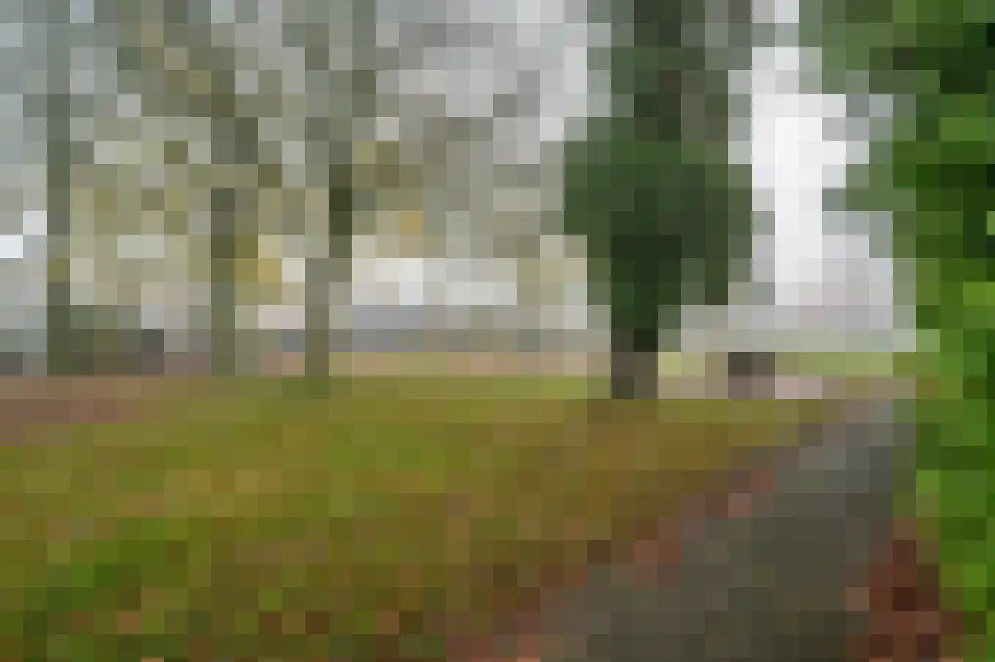 Patrijzenstraat 11 Tollebeek thumbnail 32