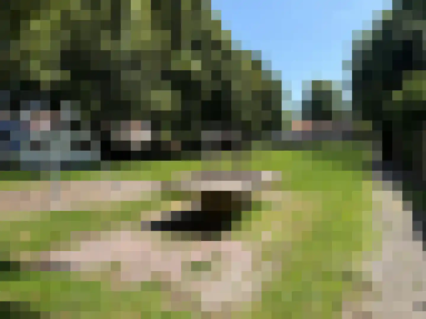 Patrijzenstraat 11 Tollebeek thumbnail 34