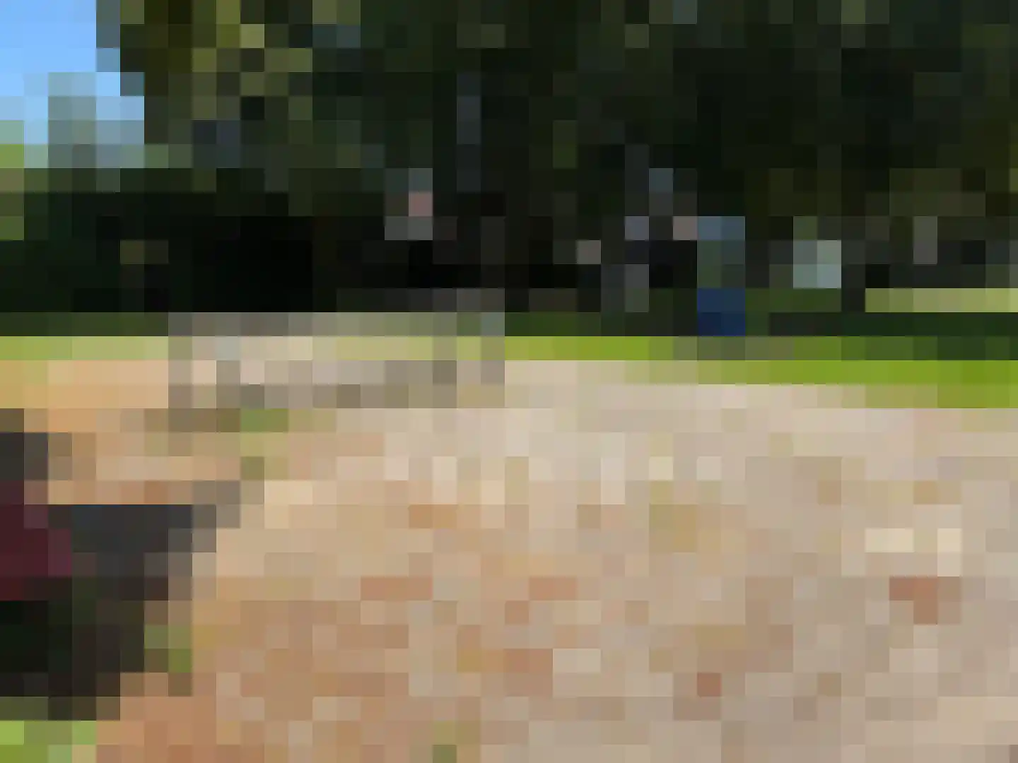 Patrijzenstraat 11 Tollebeek thumbnail 35