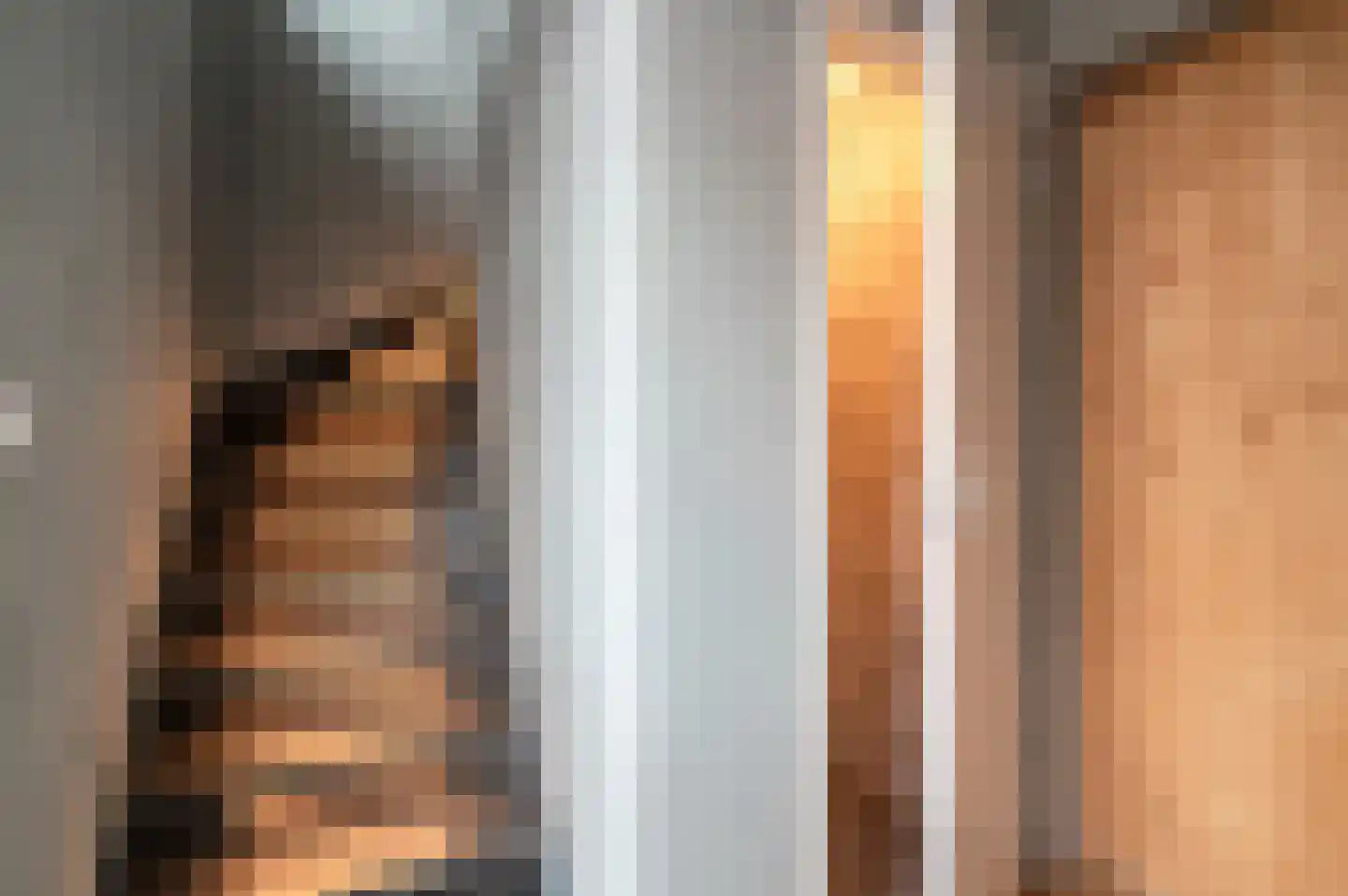 Patrijzenstraat 11 Tollebeek thumbnail 6