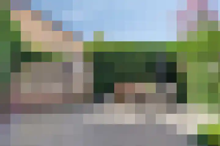 Patrijzenstraat 16 Goor thumbnail 25