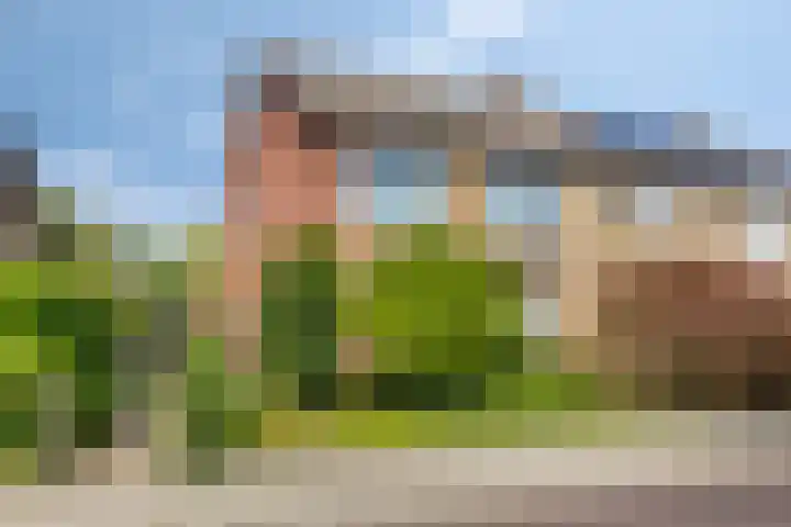 Patrijzenstraat 16 Goor thumbnail 7