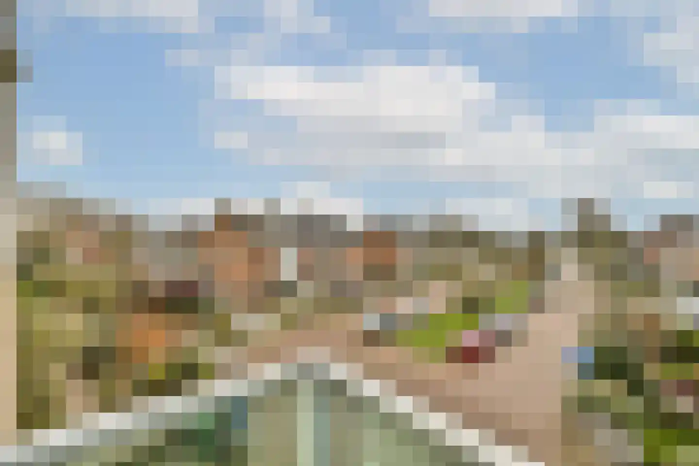 Patrijzenstraat 22 Zandvoort thumbnail 10