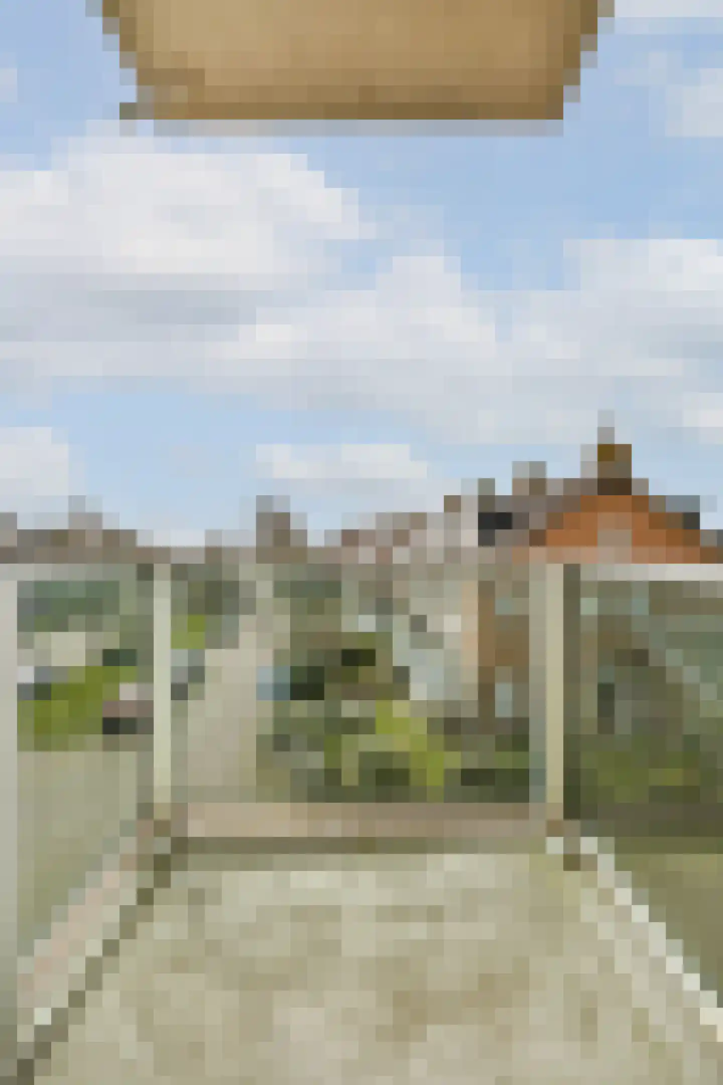 Patrijzenstraat 22 Zandvoort thumbnail 9