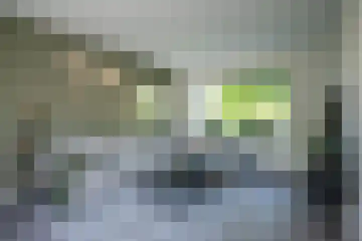 Patrijzenstraat 27 Tollebeek thumbnail 6