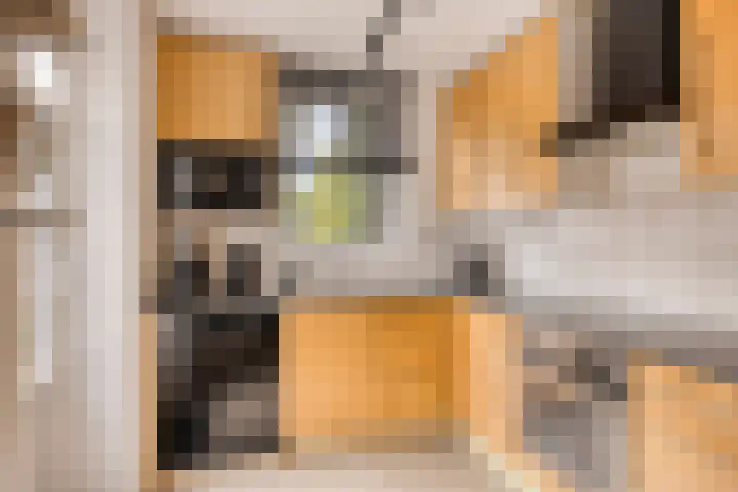 Patrijzenveld 18 Cuijk thumbnail 13