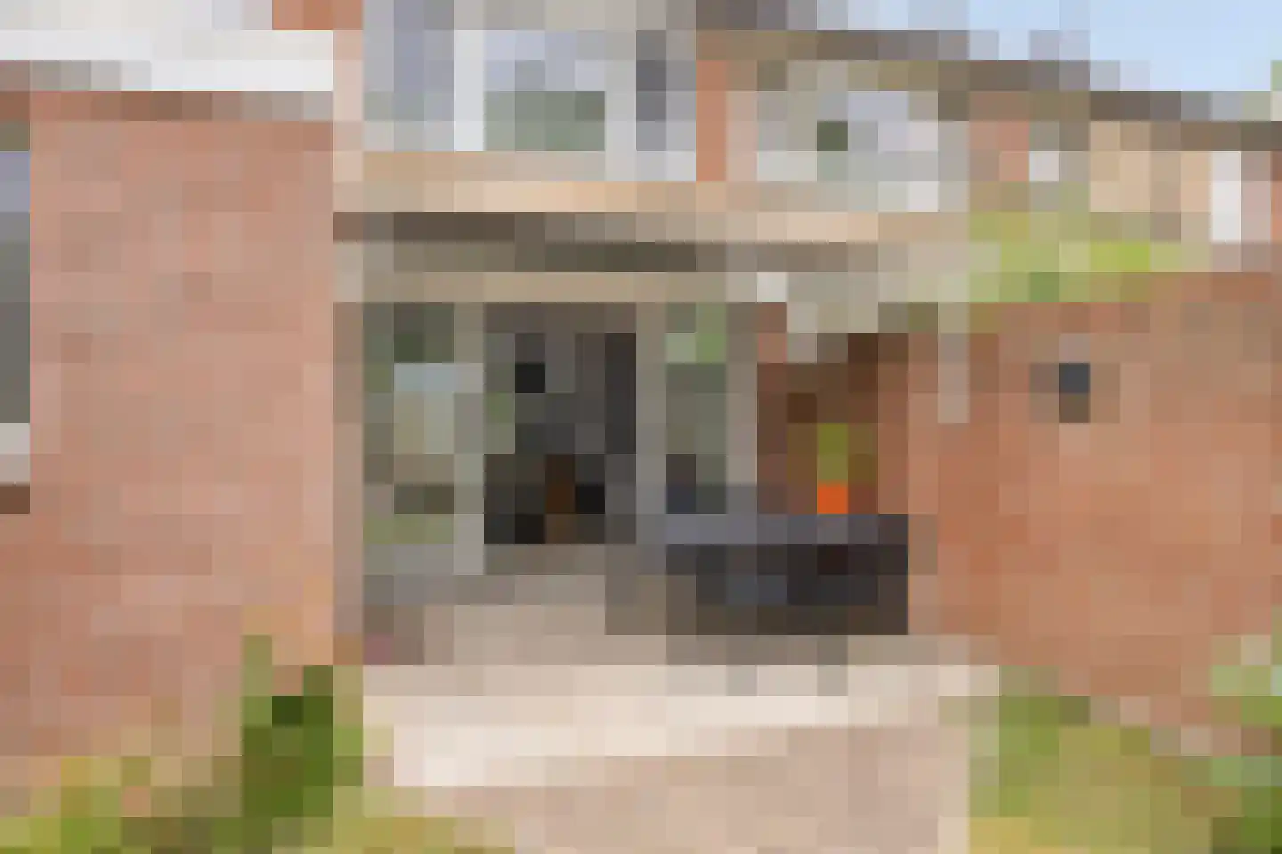 Patrijzenveld 18 Cuijk thumbnail 26