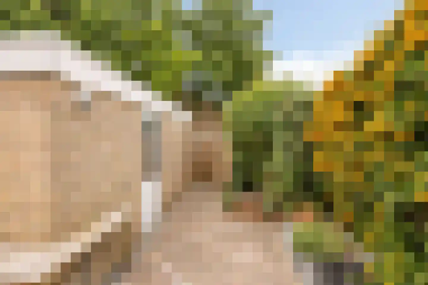 Patrijzenveld 18 Cuijk thumbnail 27