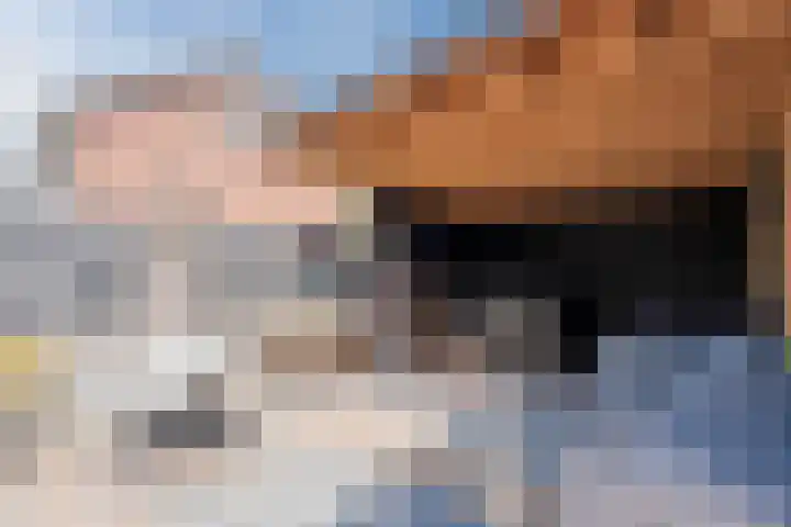 Patrijzenveld 21 Cuijk thumbnail 26