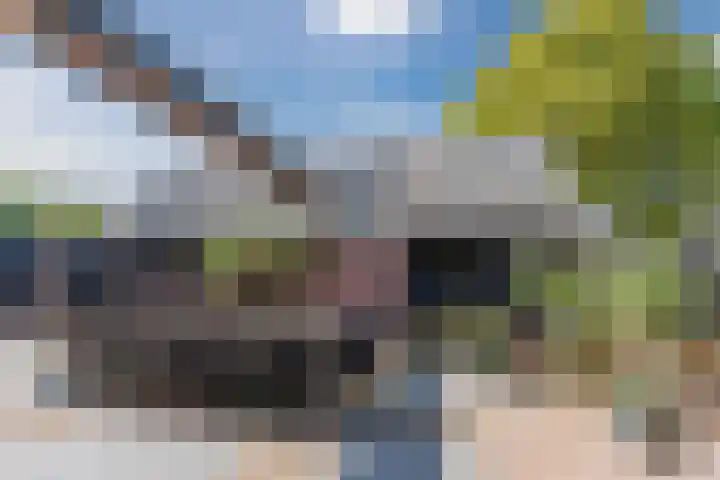 Patrijzenveld 21 Cuijk thumbnail 5