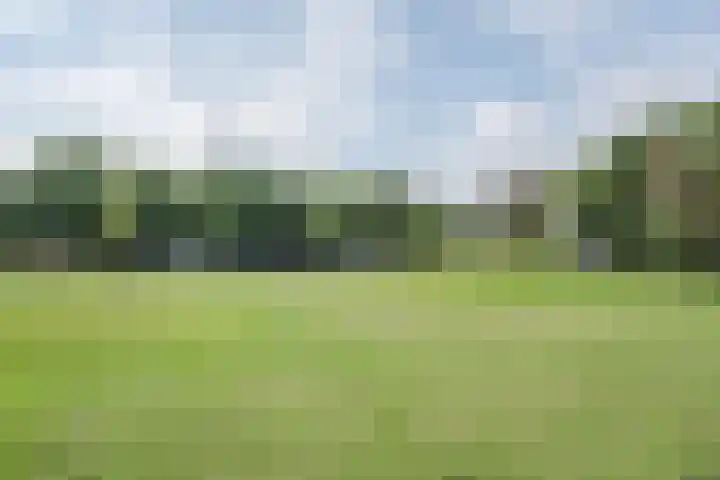 Patrijzenveld 22 Cuijk thumbnail 30