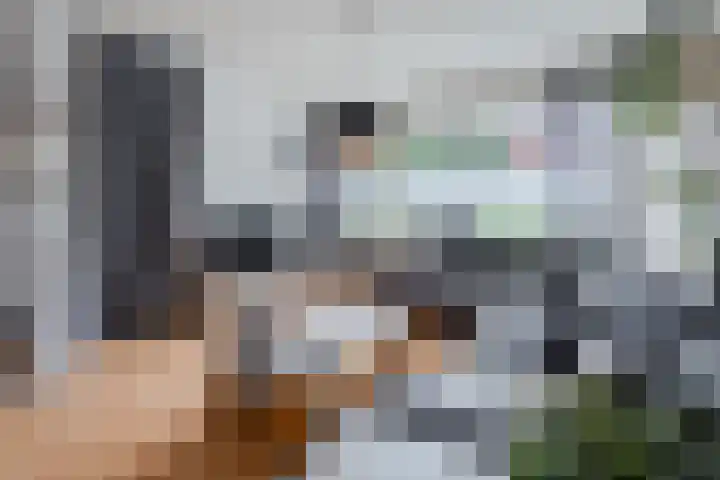 Patrijzenveld 22 Cuijk thumbnail 7