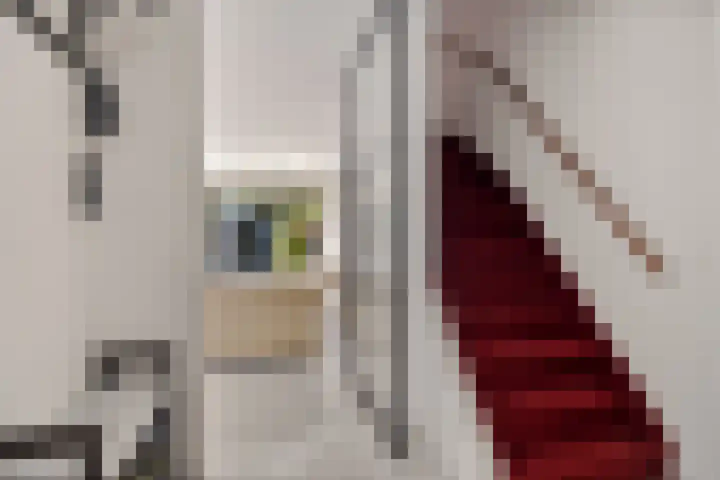 Patrijzenveld 36 Zoetermeer thumbnail 14
