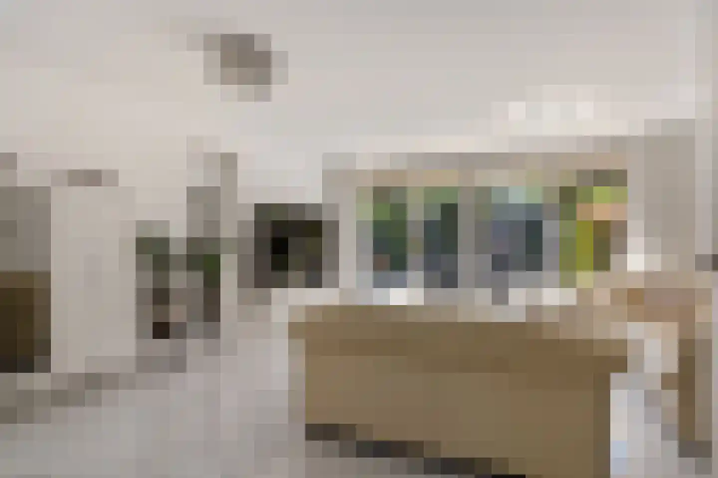 Patrijzenveld 36 Zoetermeer thumbnail 17