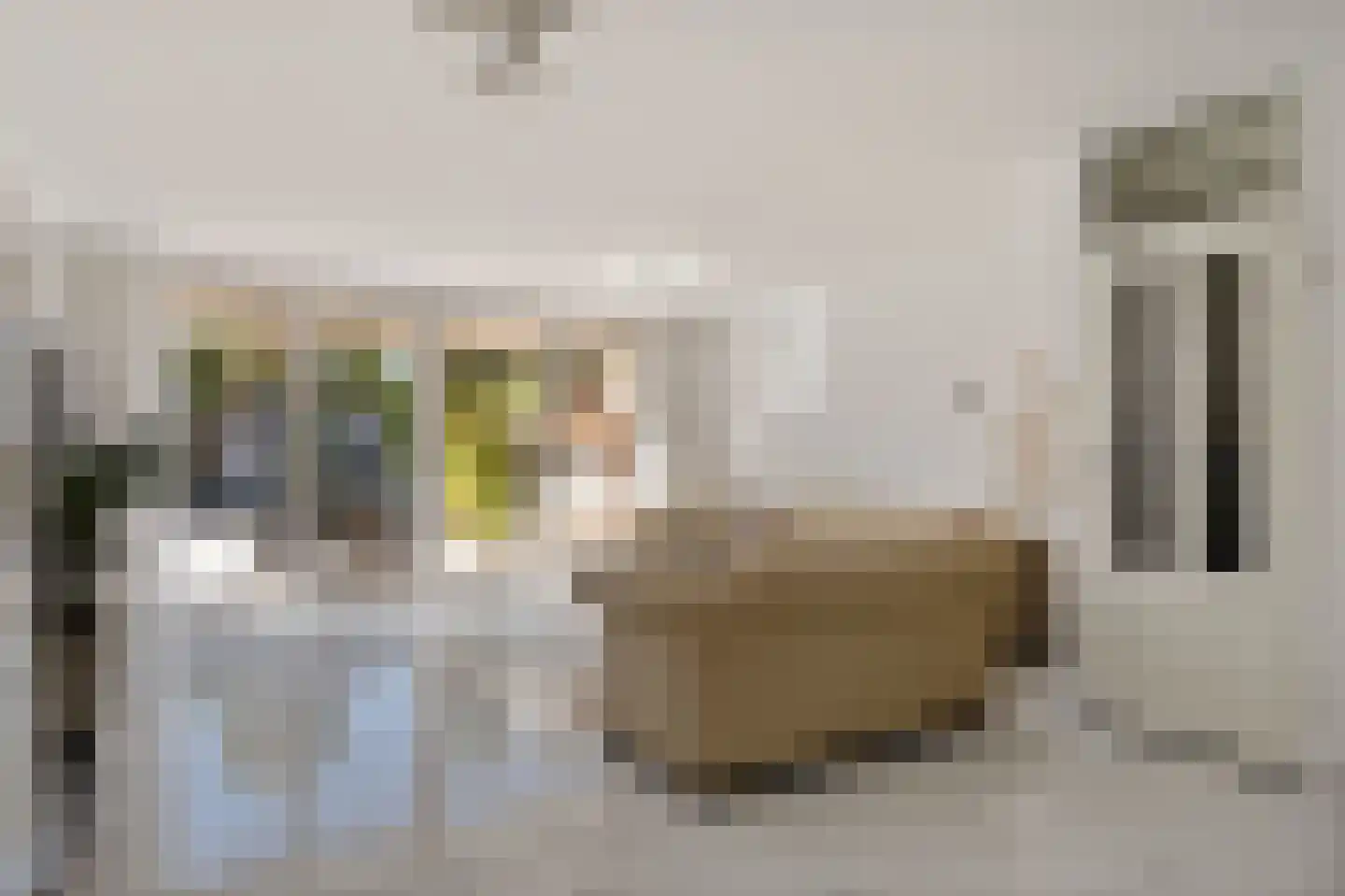 Patrijzenveld 36 Zoetermeer thumbnail 18