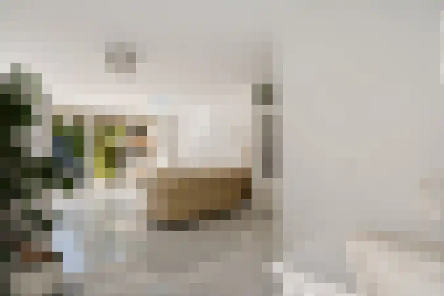 Patrijzenveld 36 Zoetermeer thumbnail 25