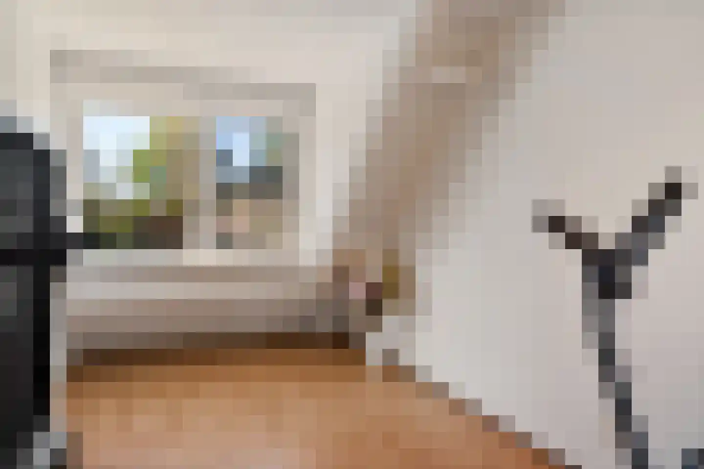 Patrijzenveld 36 Zoetermeer thumbnail 37