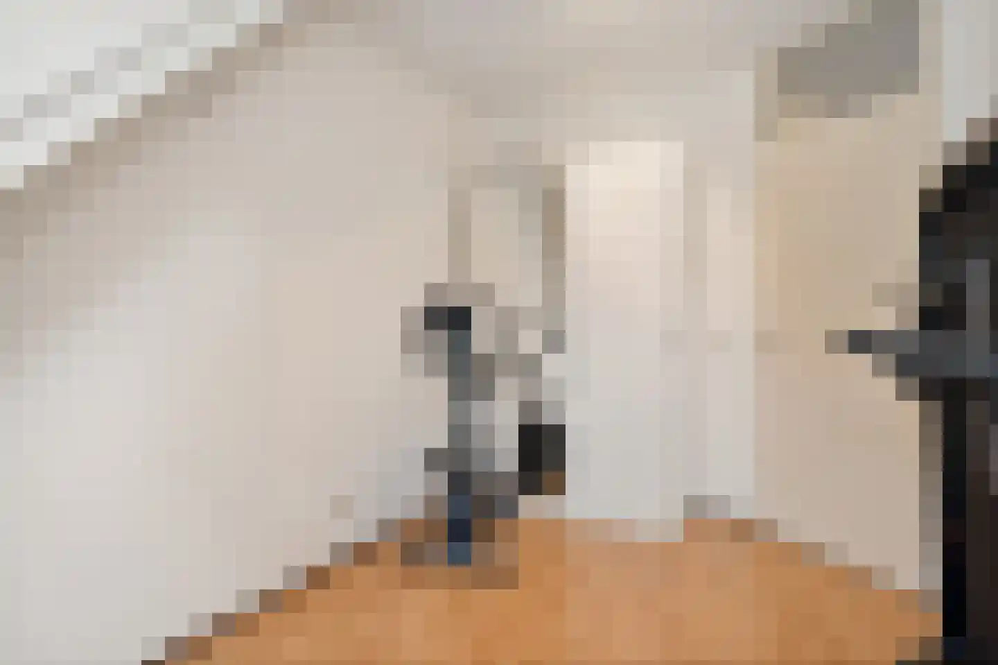 Patrijzenveld 36 Zoetermeer thumbnail 38
